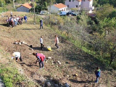 Kolektivna sadnja drveća u Kastvu
