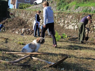 Kolektivna sadnja drveća u Kastvu