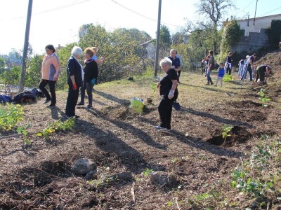Kolektivna sadnja drveća u Kastvu