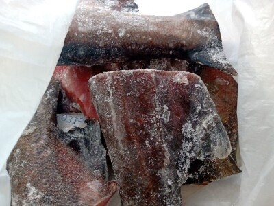 Koliko košta krsna slava