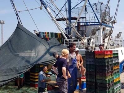 Predsjednica Kolinda oduševljena ribogojilištem: Hoće li doći i u berbu maslina kod generala Gotovine?!