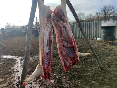 Kolinje 2021. (svinjske polovice, kobasice, čvarci, meso, mast)