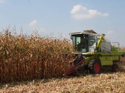 20 godina Pioneer-a u Srbiji i 90 u svetu!