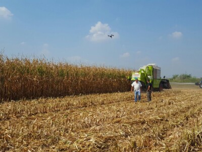 Pioneer kombajn u njivi