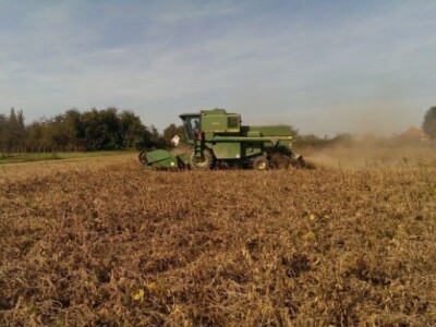 Kombajniranje soje Kombajniranje soje