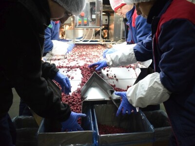 Kompanija Herbos Nature - prerada maline