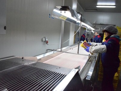 Kompanija Herbos Nature - prerada maline