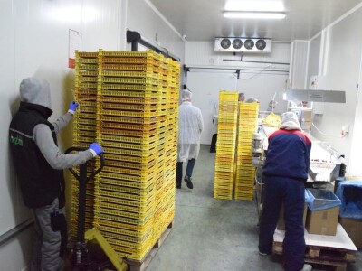 Kompanija Herbos Nature - prerada maline