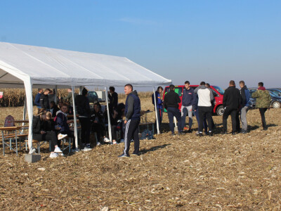 Komparativni pokus hibrida kukuruza - FAZOS