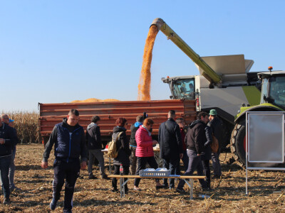 Komparativni pokus hibrida kukuruza - FAZOS