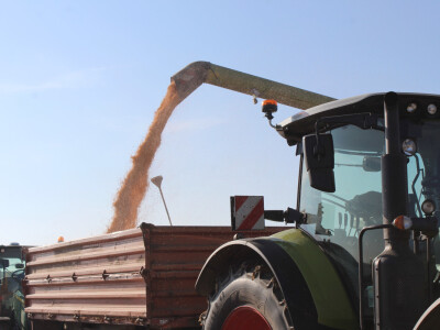 Komparativni pokus hibrida kukuruza - FAZOS