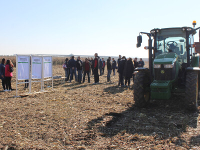 Komparativni pokus hibrida kukuruza - FAZOS