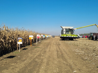 Komparativni pokus hibrida kukuruza - FAZOS