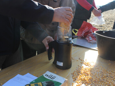 Komparativni pokus hibrida kukuruza - FAZOS