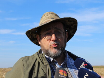 Komparativni pokus hibrida kukuruza na pokušalištu FAZOS-a