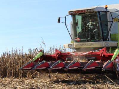 Komparativni pokus hibrida kukuruza na pokušalištu FAZOS-a