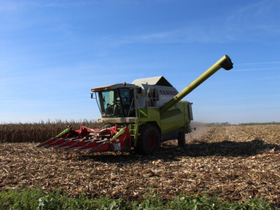 Komparativni pokus hibrida kukuruza na pokušalištu FAZOS-a