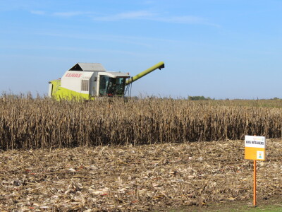 Komparativni pokus hibrida kukuruza na pokušalištu FAZOS-a