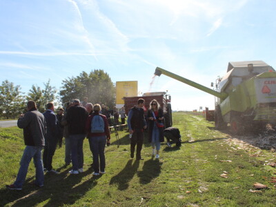Komparativni pokus hibrida kukuruza na pokušalištu FAZOS-a