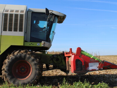 Komparativni pokus hibrida kukuruza na pokušalištu FAZOS-a
