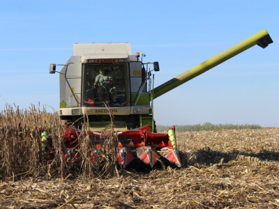 Komparativni pokus hibrida kukuruza na pokušalištu FAZOS-a