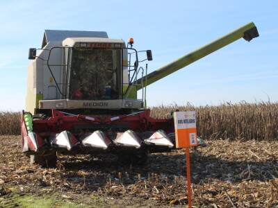 Komparativni pokus hibrida kukuruza na pokušalištu FAZOS-a