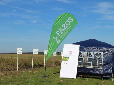 Komparativni pokus hibrida kukuruza na pokušalištu FAZOS-a