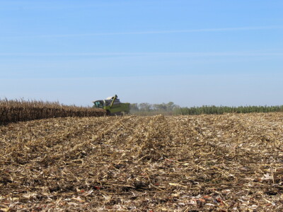 Komparativni pokus hibrida kukuruza na pokušalištu FAZOS-a