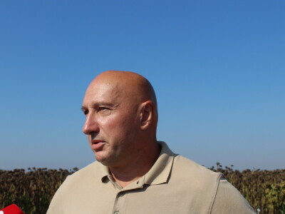 Komparativni pokus hibrida suncokreta na pokušalištu FAZOS-a