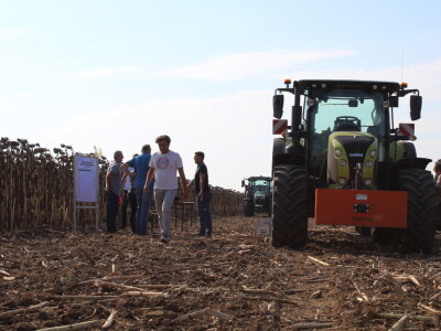 Komparativni pokus hibrida suncokreta na pokušalištu FAZOS-a