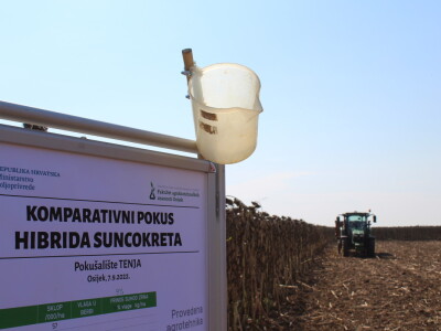 Komparativni pokus hibrida suncokreta na pokušalištu FAZOS-a