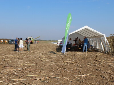 Komparativni pokus hibrida suncokreta na pokušalištu FAZOS-a
