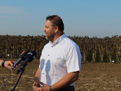 Komparativni pokus hibrida suncokreta na pokušalištu FAZOS-a