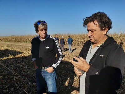 Komparativni pokusi hibrida kukuruza na pokušalištu FAZOS-a