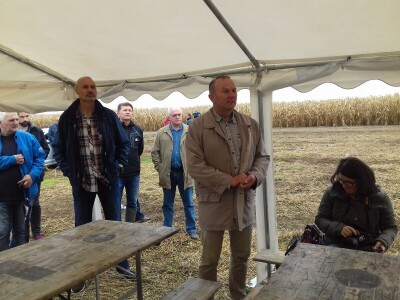 Komparatvni pokusi hibrida kukuruza