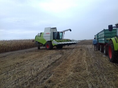 Komparatvni pokusi hibrida kukuruza