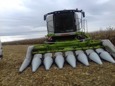 Komparatvni pokusi hibrida kukuruza