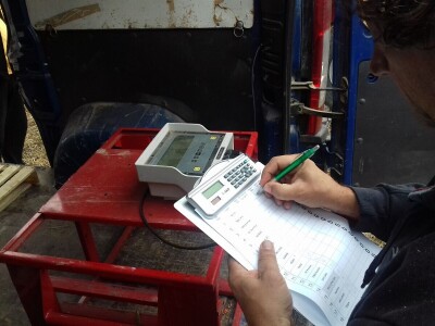 Komparatvni pokusi hibrida kukuruza