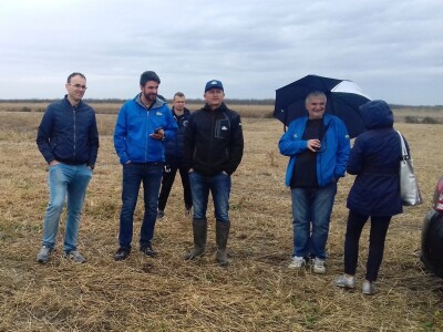 Komparatvni pokusi hibrida kukuruza