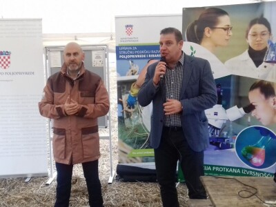 Komparatvni pokusi hibrida kukuruza