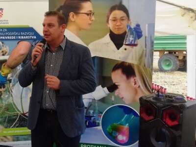 Komparatvni pokusi hibrida kukuruza