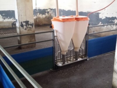 Proizvodnja je potpuno automatizirana Proizvodnja je potpuno automatizirana