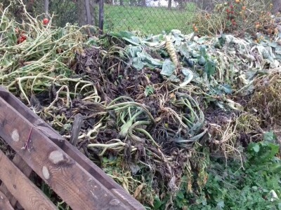 Od korova i ostataka biljaka radi se kompost