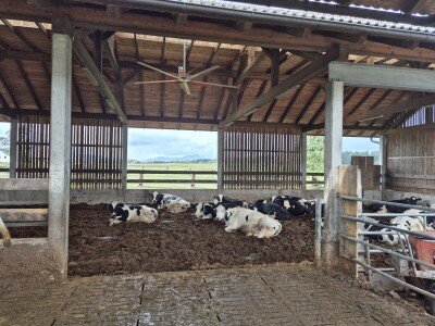 Kompostna staja na gospodarstvu Hočevar - manje emisija i više proizvodnje Kompostna staja na gospodarstvu Hočevar - manje emisija i više proizvodnje