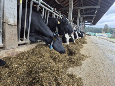 Kompostna staja na gospodarstvu Hočevar - manje emisija i više proizvodnje Kompostna staja na gospodarstvu Hočevar - manje emisija i više proizvodnje