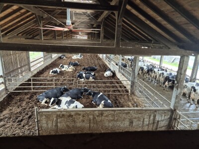 Kompostna staja na gospodarstvu Hočevar - manje emisija i više proizvodnje Kompostna staja na gospodarstvu Hočevar - manje emisija i više proizvodnje