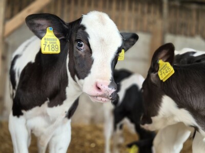 Kompostna staja na gospodarstvu Hočevar - manje emisija i više proizvodnje Kompostna staja na gospodarstvu Hočevar - manje emisija i više proizvodnje