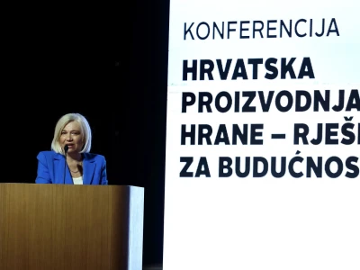 Kako smanjiti ovisnost o uvozu i stvoriti temelje za snažnije domaću proizvodnje?