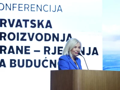 Kako smanjiti ovisnost o uvozu i stvoriti temelje za snažnije domaću proizvodnje?