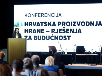 Kako smanjiti ovisnost o uvozu i stvoriti temelje za snažnije domaću proizvodnje?